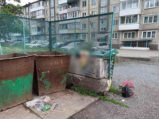 В Ачинске Красноярского края в мусорном баке нашли замерзшее тело младенца