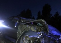 В Новосибирской области разыскивают свидетелей или записи аварии, которая произошла в ночь с 10 на 11 июля в районе Речкуновки