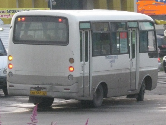 ОНФ предложил не спешить с покупкой автобусов для алтайских сел
