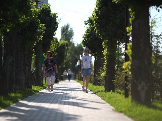 Волгоградское МЧС предупредило о 42-градусной жаре в регионе