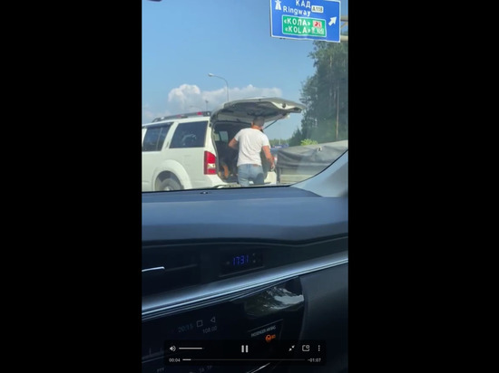 Агрессивный водитель наорал на подрезавшую его петербурженку и чуть не спустил на нее добермана на КАД