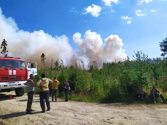 В километре от Кудамы полыхает лес