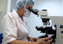 В Роспотребнадзоре сообщили о разработке биочипа для тестирования на коронавирусную инфекцию