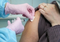 В понедельник, 19 июля, стало известно, что в Бердске закрываются два пункта вакцинации - в ГУМе и в ТУ “Гермес”
