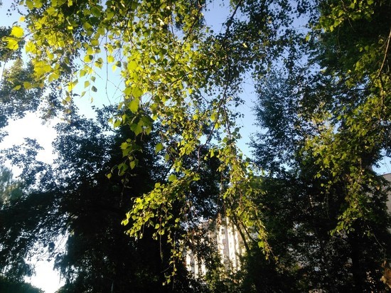 Неделя в Перми будет теплой