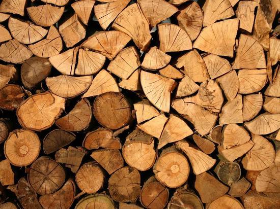 В Псковской области выявили преступную схему экспорта лесоматериалов