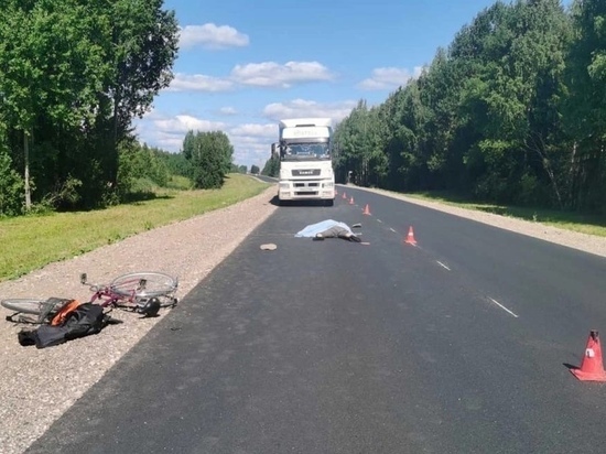 Водитель из Карелии на КАМАЗе раздавил велосипедиста в Архангельской области