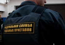 Управление ФССП по Томской области отчиталась о проведённой работе в части выплаты должниками алиментных платежей