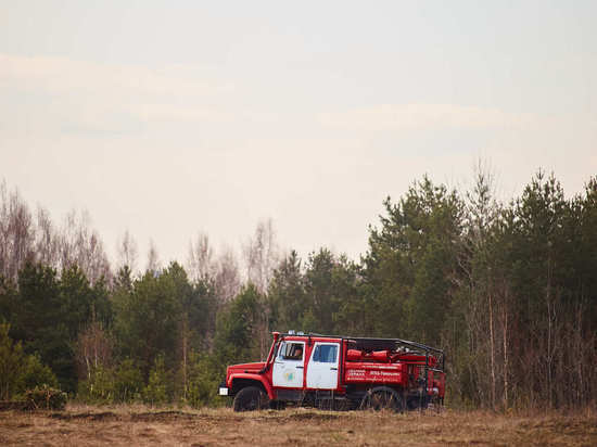 На ближайшие три дня в Тверской области объявили повышенную пожарную опасность