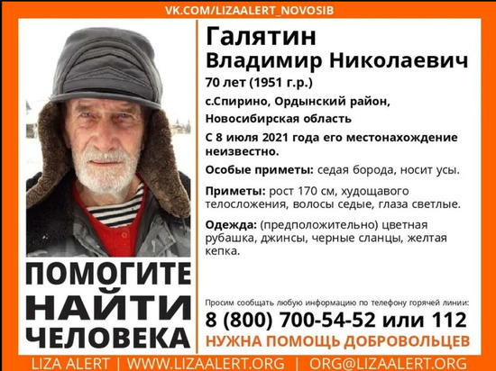 Пропавшего в лесу пенсионера 11 дней не могут найти в Новосибирской области
