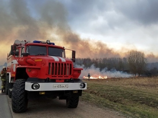 В Ярцевском районе Смоленской области обнаружили низовой лесной пожар