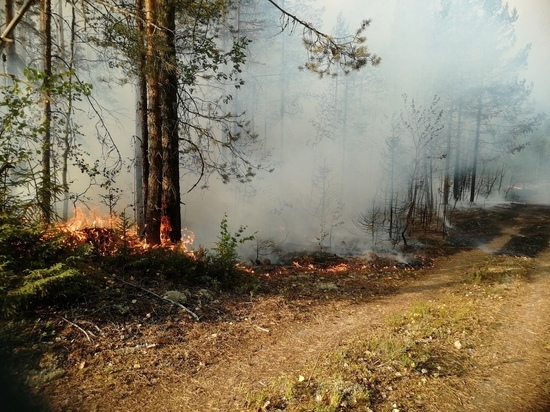 19 июля: главные новости дня по версии "МК в Карелии"