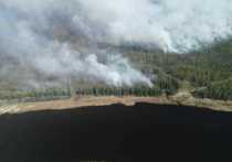 Режим ЧС ввели в Бодайбинском районе из-за лесных пожаров