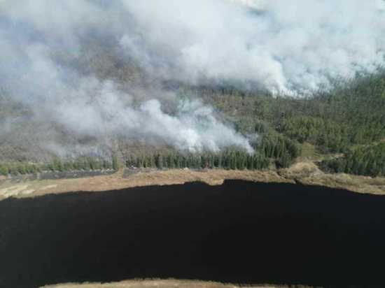 Режим ЧС ввели в Бодайбинском районе из-за лесных пожаров