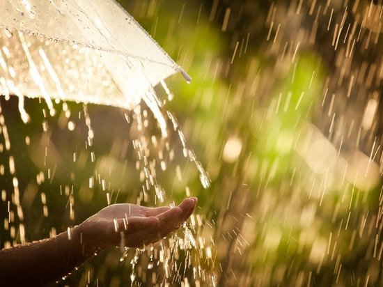 Долгожданное похолодание: ивановцам обещают дожди