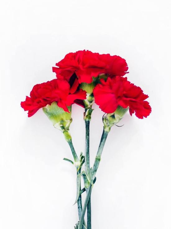 Звезды с Вечного огня украли в Хабаровском крае