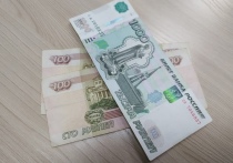 В Омской области больше 400 000 рублей зарабатывают только 0,1% жителей