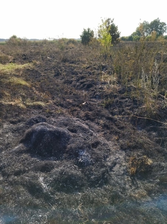 В Петровском районе при сжигании травы погибли мать и сын