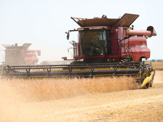 Волгоградские аграрии собрали первые 2 млн тонн зерна