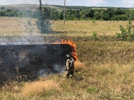 На территории Оренбургской области горят мусор и трава