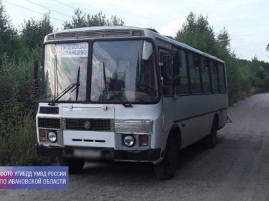 В Ивановской области травмы в автобусе получила пожилая женщина