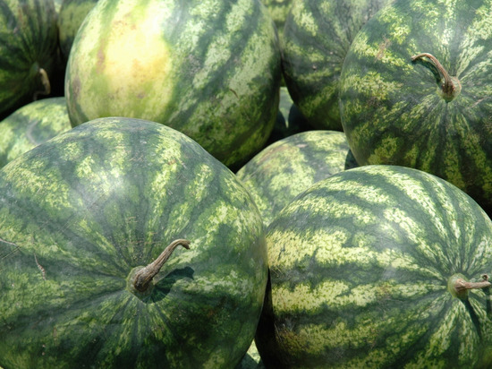 Перечислены плюсы и минусы полосатой ягоды