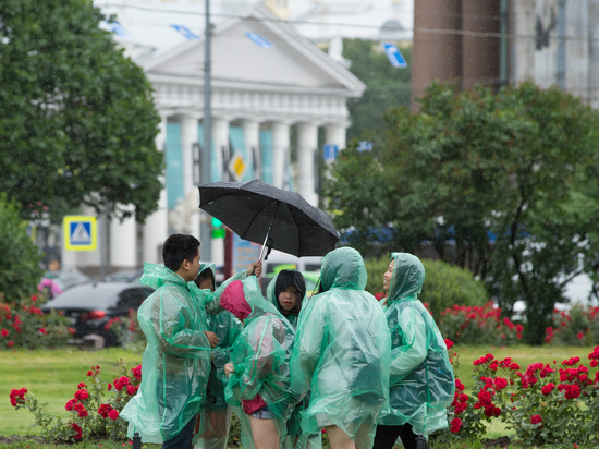 Петербург антициклонит: температура в городе впервые за лето опустилась ниже климатической нормы