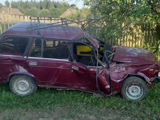 Водитель разогнался и врезался в дерево в Тверской области