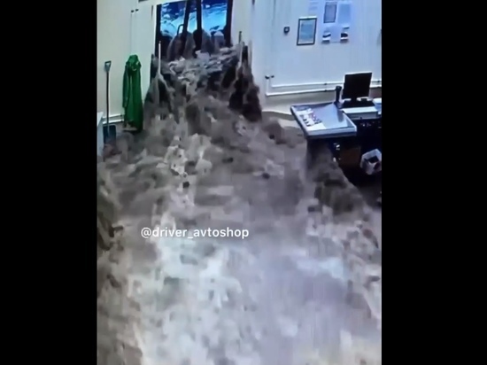 Появилось видео июньского затопления магазина «Драйвер» в Рязани