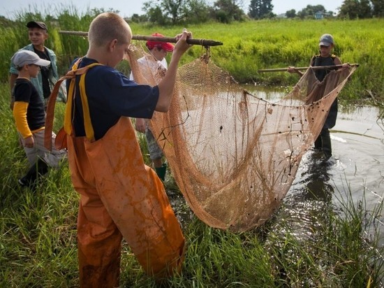 Под Астраханью школьники спасли молодь рыбы