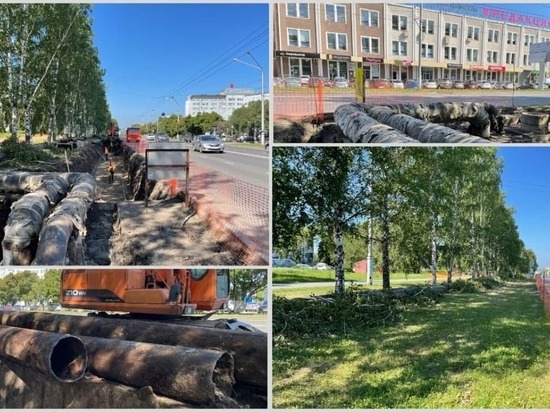 В СГК рассказали, зачем в Кемерове на Октябрьском срубили березы