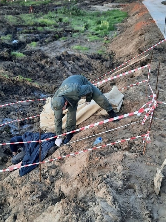Вахтовик убил доской коллегу и оставил труп в кювете на дороге Тазовского района