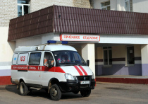 Пилота самолёта гражданской авиации Ан-28 Анатолия Прыткова, совершившего в конце прошлой недели жесткую посадку в Бакчарском районе и спасшего таким образом 18 пассажиров, выписали сегодня из Томской областной клинической больницы