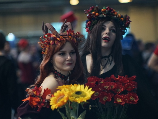 Косплееры решили байкотировать петербургский фестиваль «Старкон» после оскорблений от организаторов