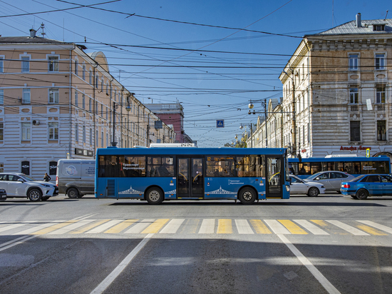 За полгода жители Тверской области проехали в синих автобусах больше 40 миллионов раз