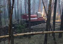 12 пожаров потушили в лесах Приангарья за сутки