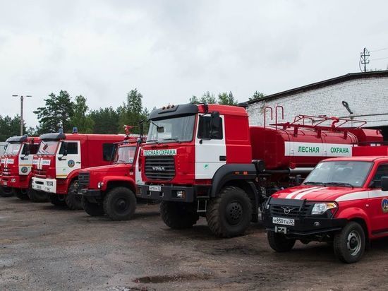 Лесопожарная служба Брянщины получила новую технику