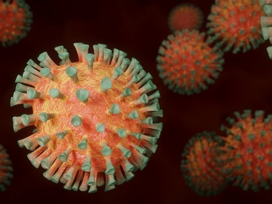 В России выявлено несколько случаев штамма коронавируса «Гамма»
