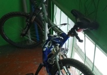 В Туле полицейские устанавливают детали кражи велосипеда