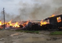 Прокуратура начала проверку после нескольких пожаров в селе Ямала