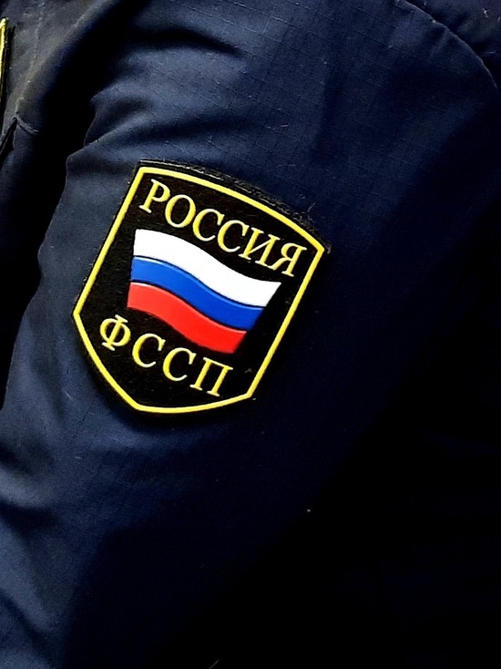 Только после ареста двух иномарок тамбовчанка выплатила долг свыше 1 миллиона рублей