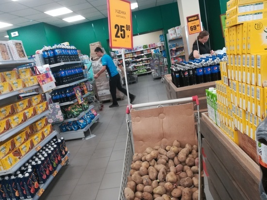 Картофель резко подешевел в Новосибирске