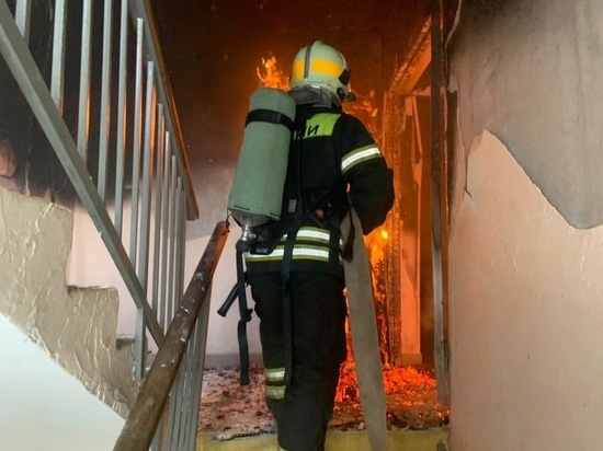 На пожаре в Узловой Тульской области спасли 10 человек, среди которых 7 детей