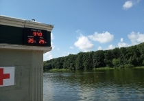Синоптики рассказали о том, что в Центральной России среднемесячная температура превышает климатическую норму, а осадков выпала всего одна треть от нормы