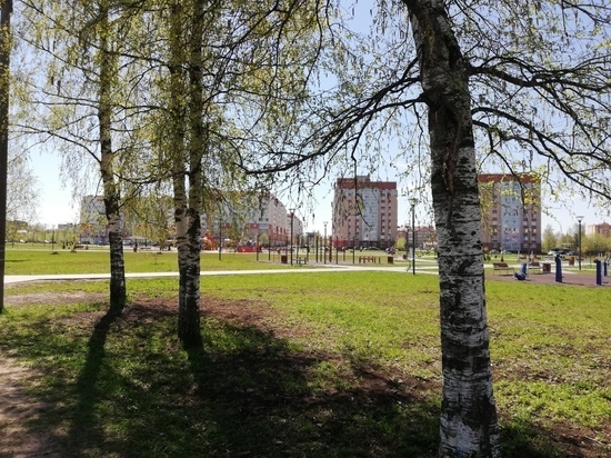 Новгородцы посетовали, что на детей в парке Юности «охотятся» собаки