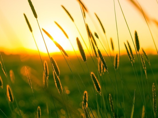 Какой погода будет в пятницу в Смоленской области