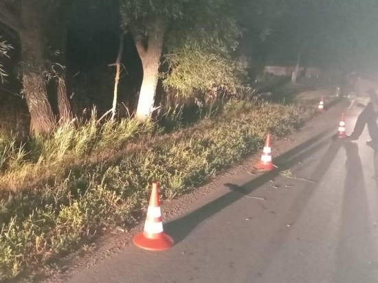 В Сасовском районе 17-летний водитель мопеда врезался в дерево