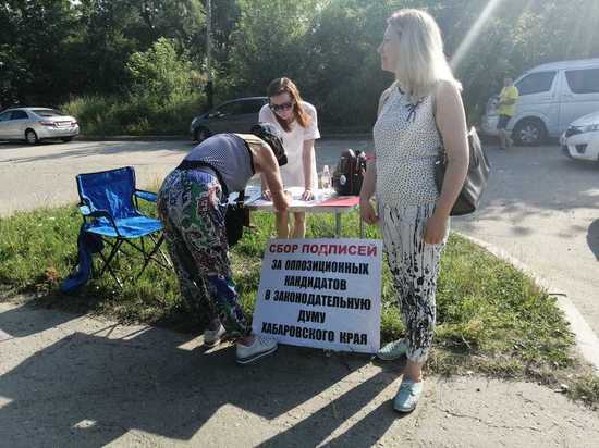 В Хабаровске собирают подписи за независимых кандидатов на выборах в закдуму