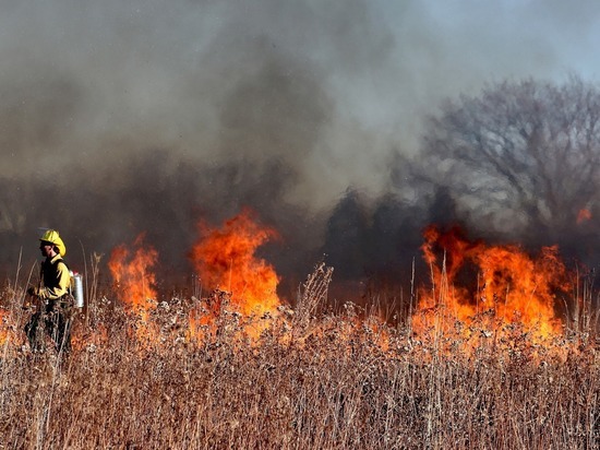 В Пензенской области за сутки потушили девять пожаров