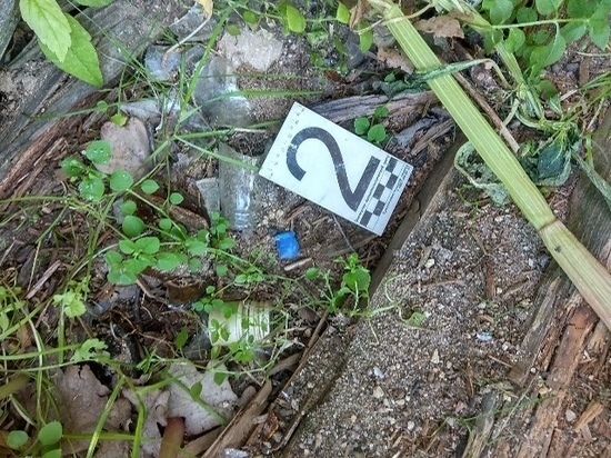 Пожизненный срок грозит наркоторговкам из Смоленской области